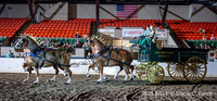 84. Belgian Four-Horse Hitch