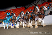 85. Clydesdale Six-Horse Hitch