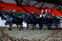 86. Open Mare Four-Horse HItch