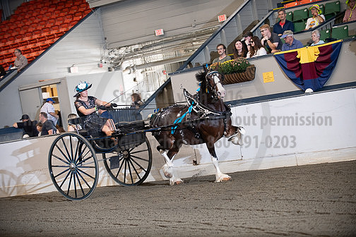 BigE_09282025_SCL4069