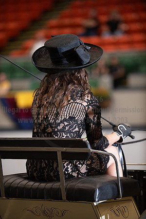 BigE_09282025_SCL4133
