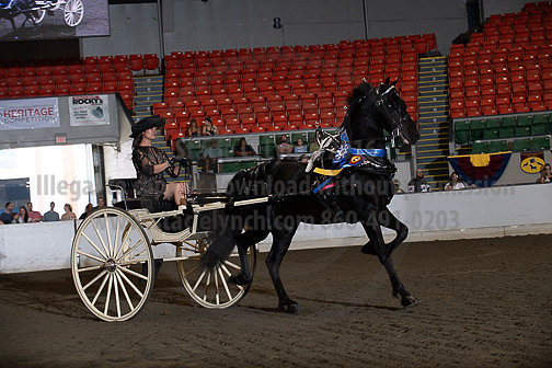 BigE_09282025_SCL4168