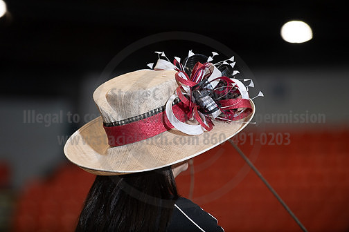 BigE_09282025_SCL4219