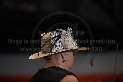 BigE_09282025_SCL4262