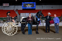 87. Draft Pony Ladies' Cart Championship