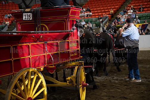 BigE_09282025_SCL4368