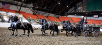 89. Draft Pony Six-Horse Hitch Championship - Round 3