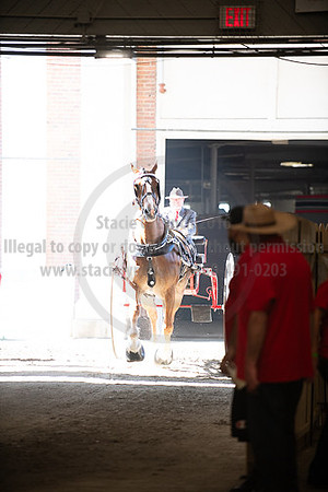 BigE_09282025_SCL4554
