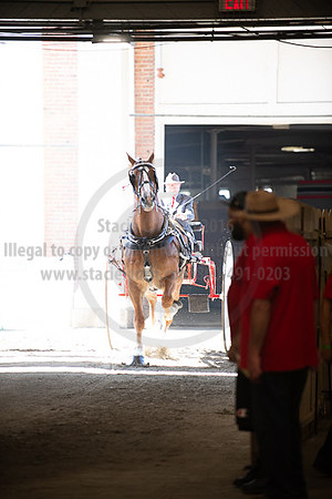 BigE_09282025_SCL4555
