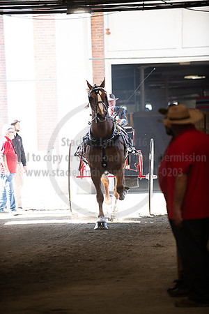 BigE_09282025_SCL4556