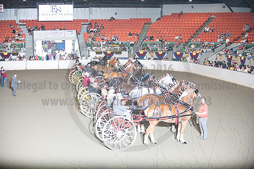 BigE_09282025_SCL4559