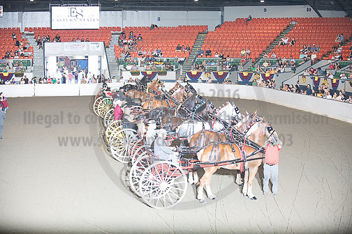 BigE_09282025_SCL4560