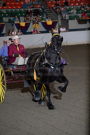 BigE_09282025_SCL4588