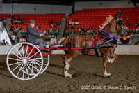 90. Eastern Regional Cart Finals