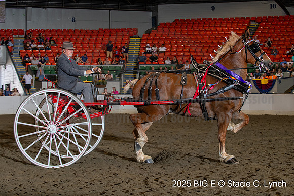 BigE_09282025_SCL4612