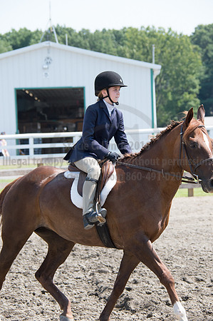 2016DCF_08242016_SCL_8912
