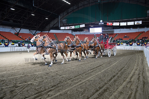 NABC8_10142016_SCL_8609