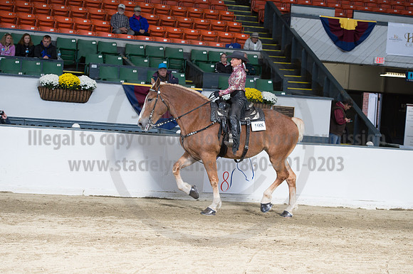 NABC8_10142016_SCL_8339