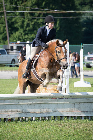 2016DCF_08262016_SCL_0233