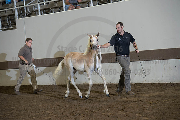 ISF_08192016_SCL_4557