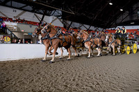 BigE_20221002-SCL_4766