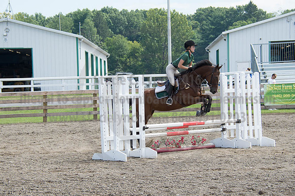 2016DCF_08262016_SCL_0435
