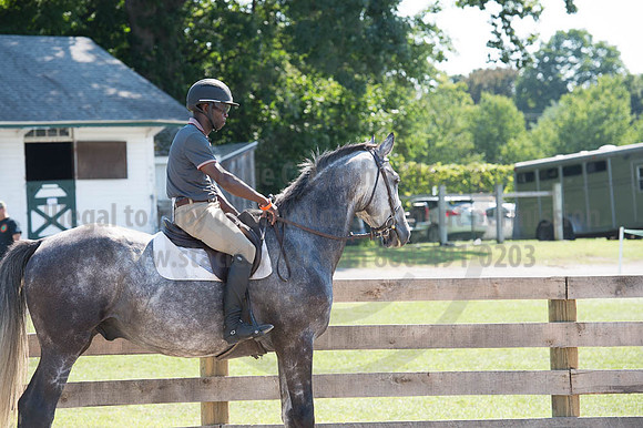 2016DCF_08262016_SCL_0767