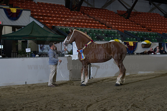 NABC8_10152016_SCL_1829