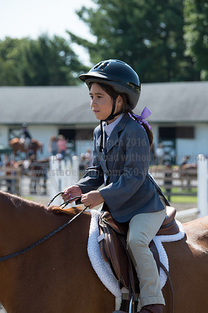 2016DCF_08242016_SCL_8742