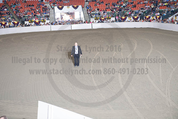 BIGE_10012017_SCL_8059