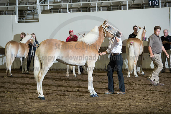 ISF_08192016_SCL_4501