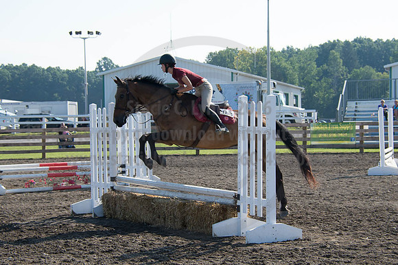 2016DCF_08262016_SCL_0203
