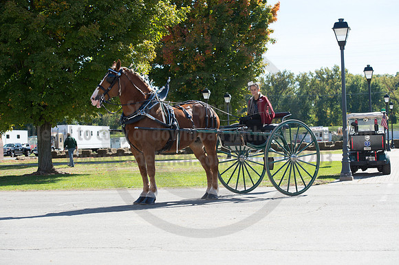 NABC8_10152016_SCL_0578