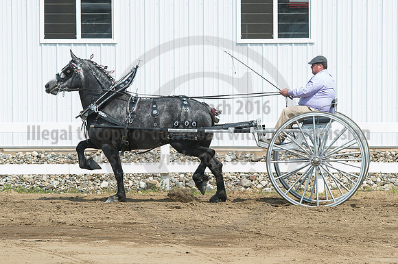 2016_Saratoga_SCL_5183
