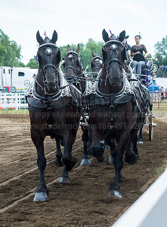 2016_Saratoga_SCL_4780