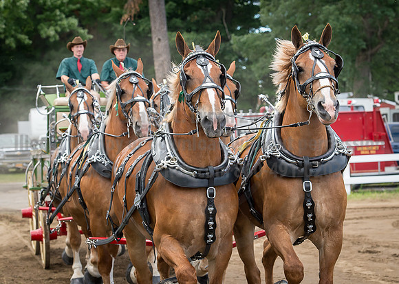 2016_Saratoga_SCL_4704