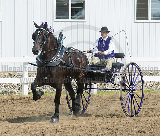 2016_Saratoga_SCL_5229