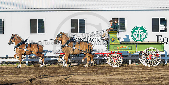 2016_Saratoga_SCL_4881