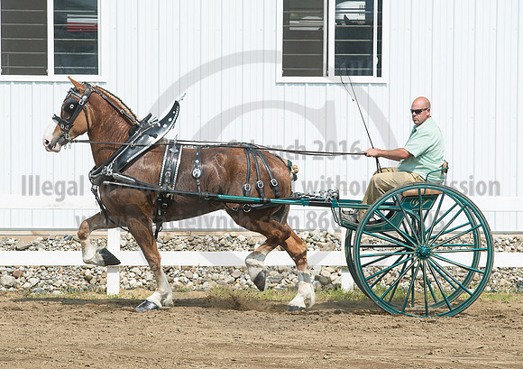 2016_Saratoga_SCL_5228