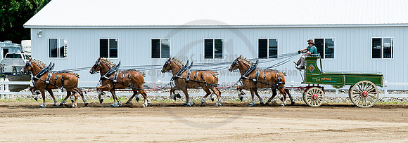 2016_Saratoga_SCL_5006