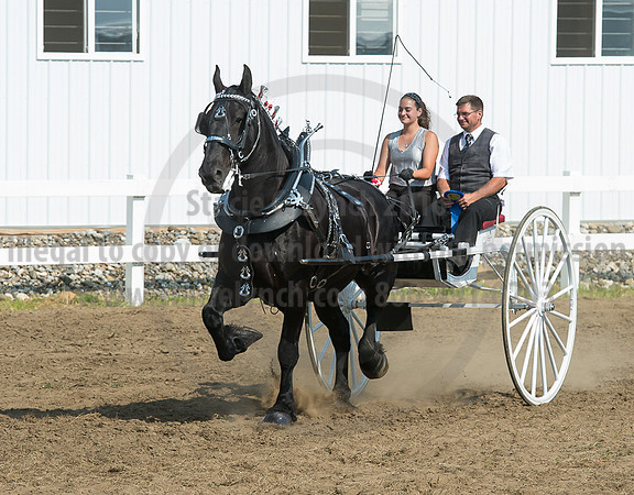 2016_Saratoga_SCL_5297