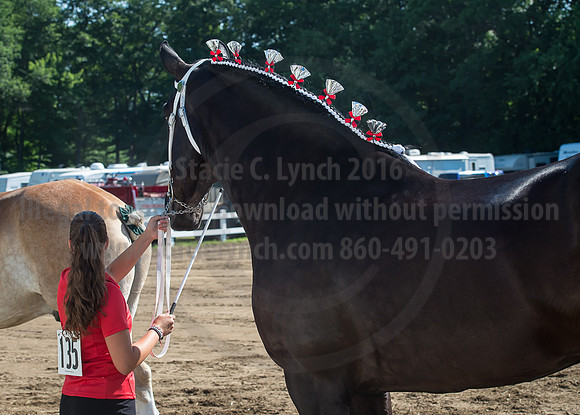 2016_Saratoga_SCL_4942