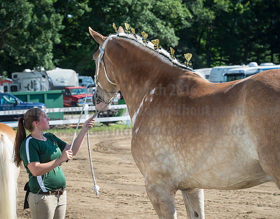 2016_Saratoga_SCL_4917