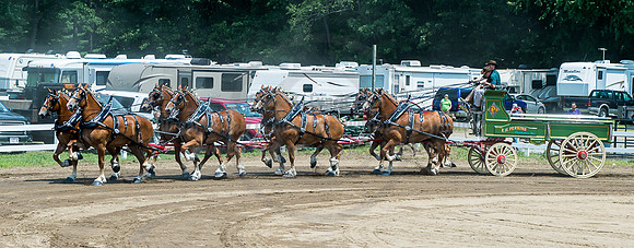 2016_Saratoga_SCL_4997