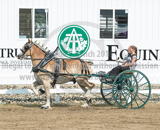 2016_Saratoga_SCL_5279