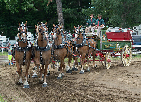 2016_Saratoga_SCL_4717