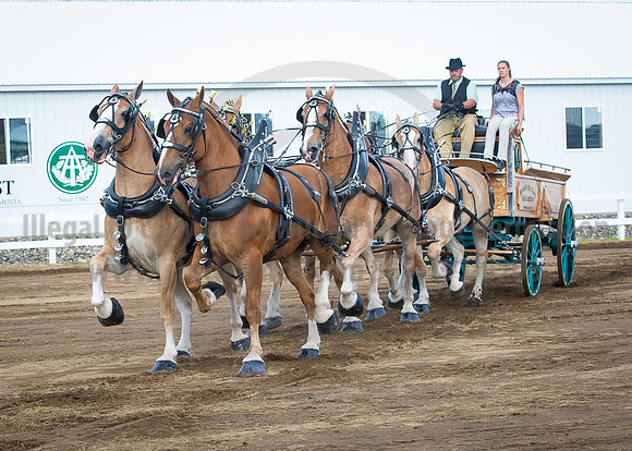 2016_Saratoga_SCL_4728