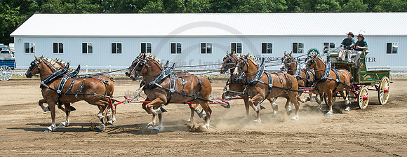 2016_Saratoga_SCL_5015