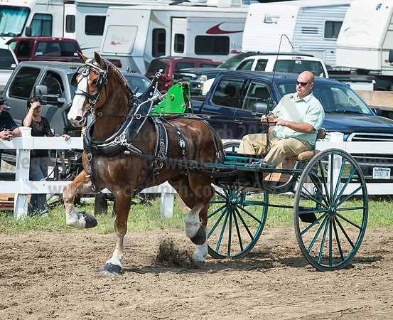 2016_Saratoga_SCL_5223