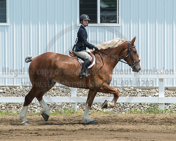 2016_Saratoga_SCL_5056